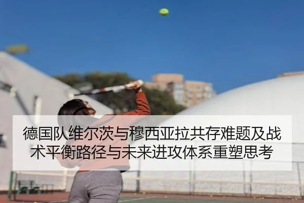 德国队维尔茨与穆西亚拉共存难题及战术平衡路径与未来进攻体系重塑思考（pg）