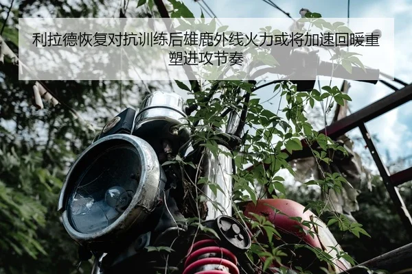 利拉德恢复对抗训练后雄鹿外线火力或将加速回暖重塑进攻节奏（pg）